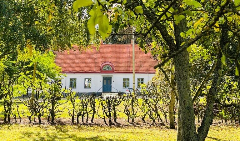 Äspögården mellan träden
